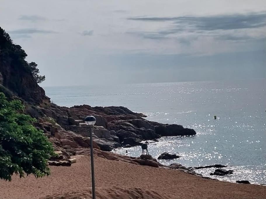 Apartmán Cala Salions Balandro II Tossa De Mar Canet De Mar Exteriér fotografie