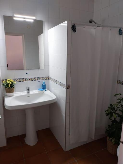 Apartmán Cala Salions Balandro II Tossa De Mar Canet De Mar Exteriér fotografie