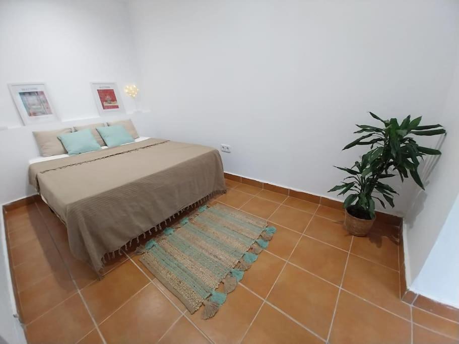 Apartmán Cala Salions Balandro II Tossa De Mar Canet De Mar Exteriér fotografie