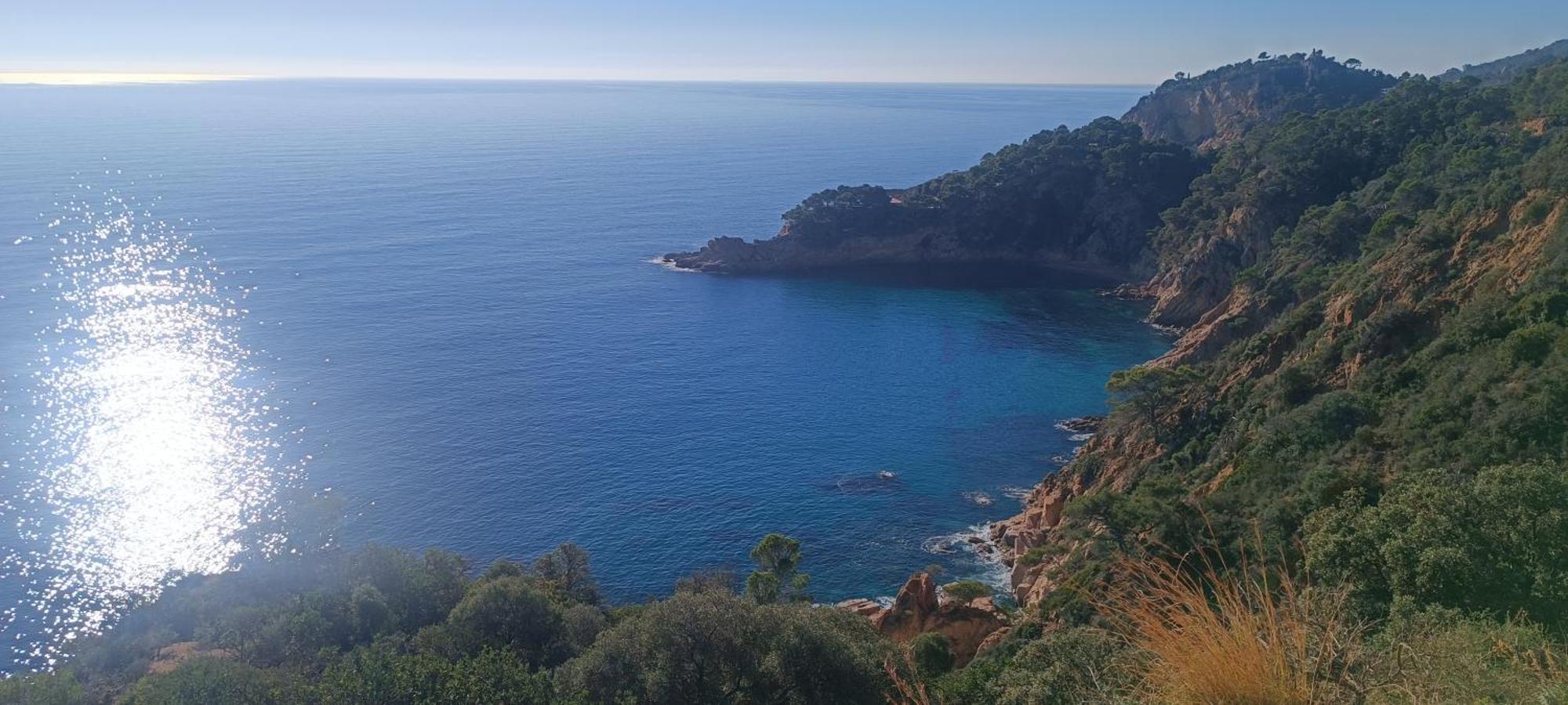 Apartmán Cala Salions Balandro II Tossa De Mar Canet De Mar Exteriér fotografie
